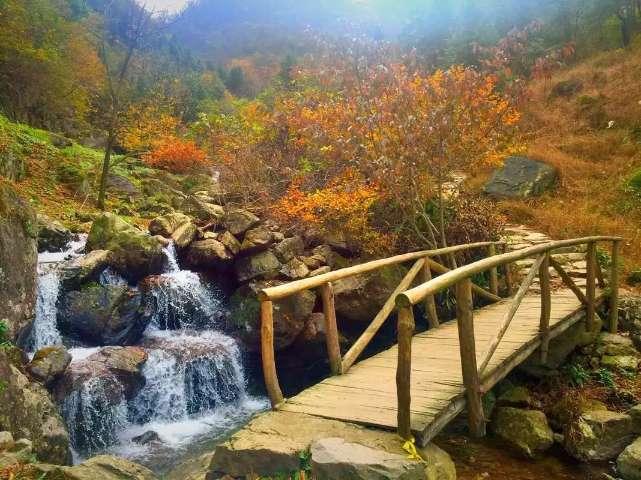 浪漫的雨季